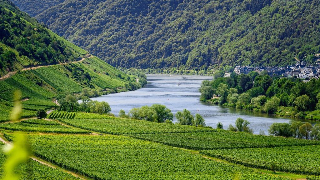 Itinéraire oenotouristique : que penser de la côte chalonnaise ?