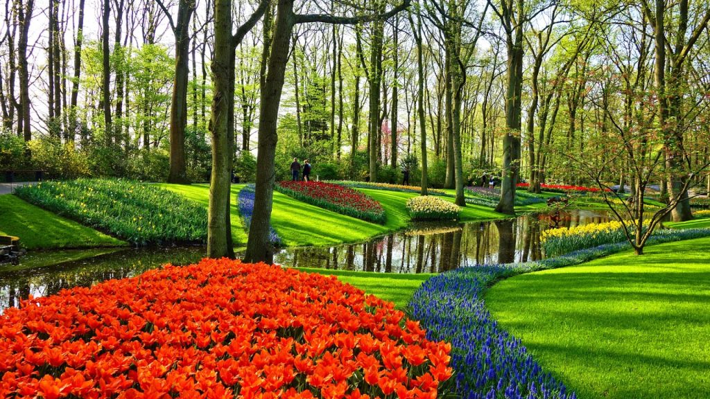 Le parc de Keukenhof : une escapade printanière incontournable aux Pays-Bas !