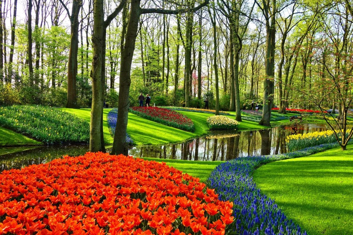 Le parc de Keukenhof : une escapade printanière incontournable aux Pays-Bas !