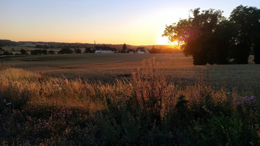 Évasion en Sarthe : entre nature et patrimoine