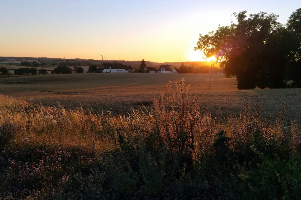 Évasion en Sarthe : entre nature et patrimoine